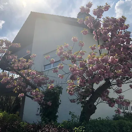 Apartment Daheim Am Wasserturm *