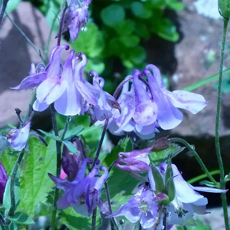 Daheim Am Wasserturm Apartment Woerth am Rhein