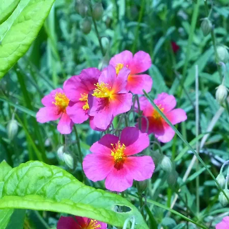 Daheim Am Wasserturm *