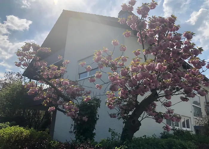 Apartamento Daheim Am Wasserturm - Woerth *