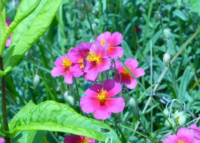 Daheim Am Wasserturm - Woerth *